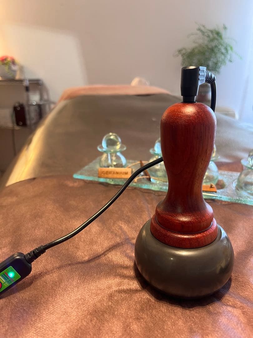 【今週末特価】ベン石温熱器ホットストーンセラピー日本、海外使えるコンセント付