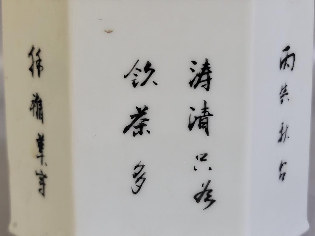 中国 色絵 花盆絵 六方 茶壷 DT448