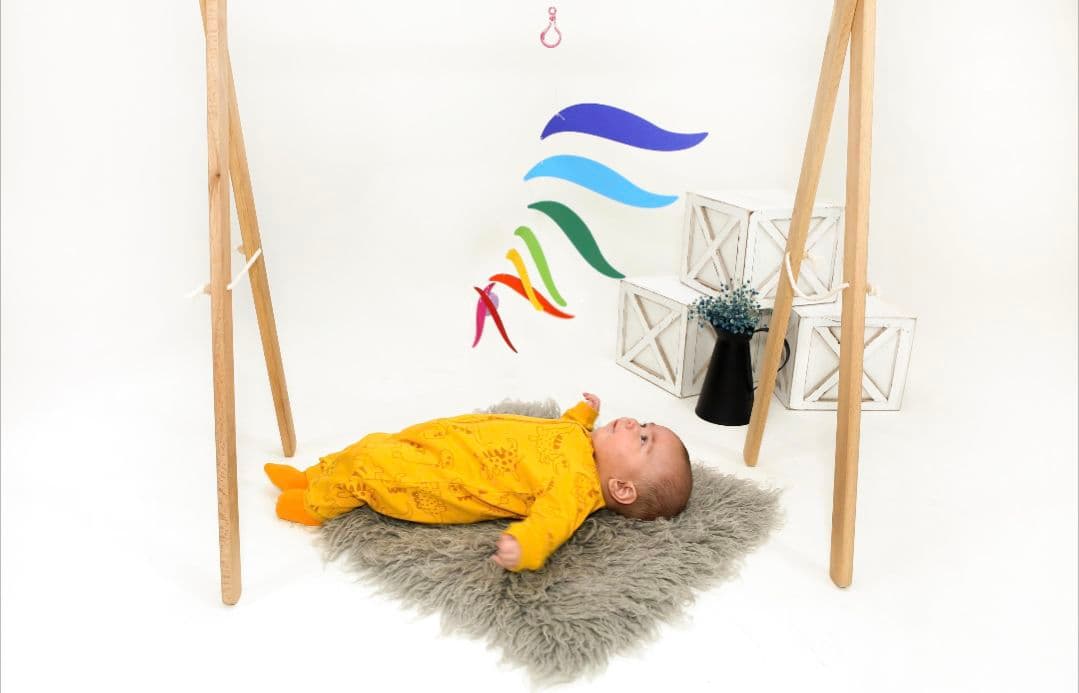 モンテッソーリモビール 13ピースセット