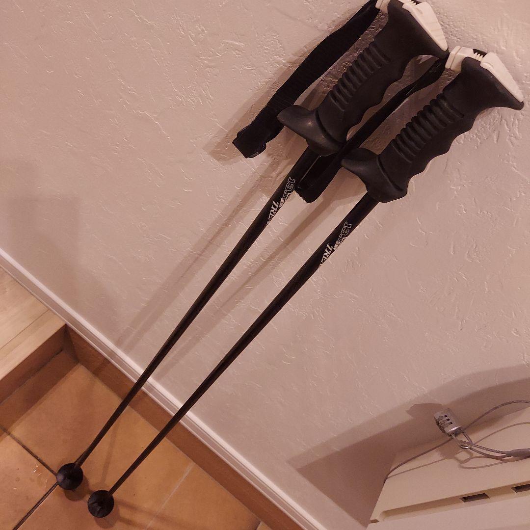 SALOMON verse10 170cm S710 カーボン製ポールセット