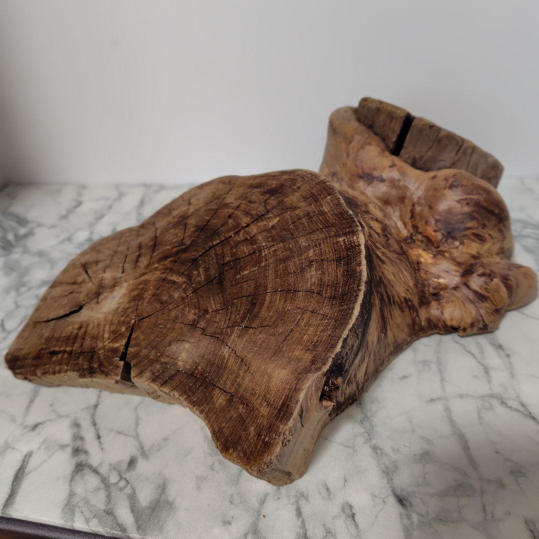 アク抜き済み流木【869】