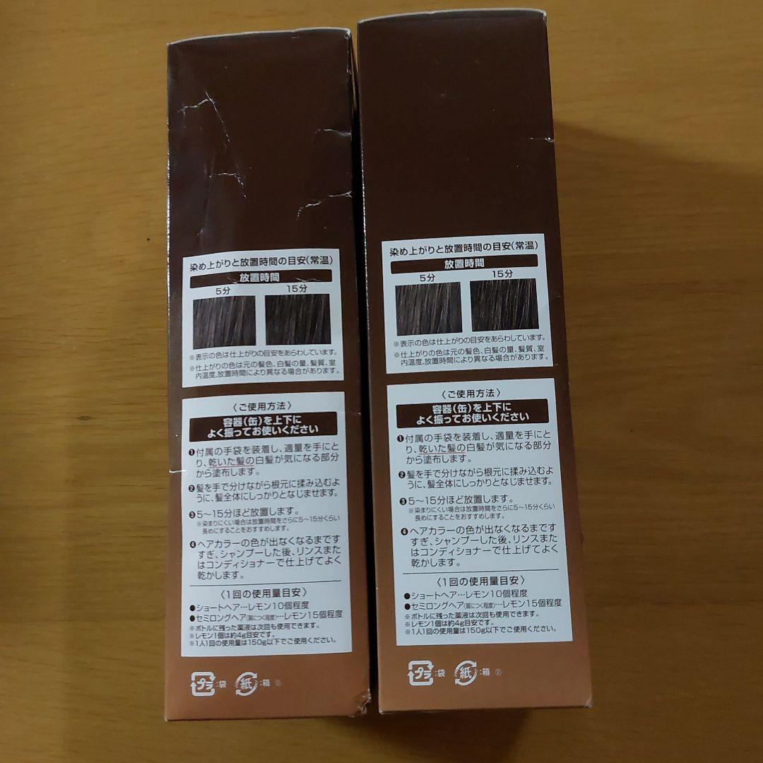 ヘアボーテエクラボタニカルエアーカラーフォーム　ダークブラウン　150g 2個