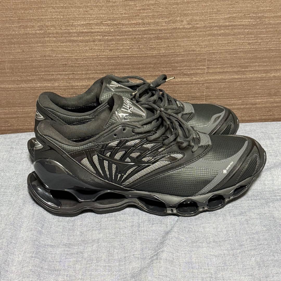 MIZUNO　WAVE PROPHECY LS GTX 29cm