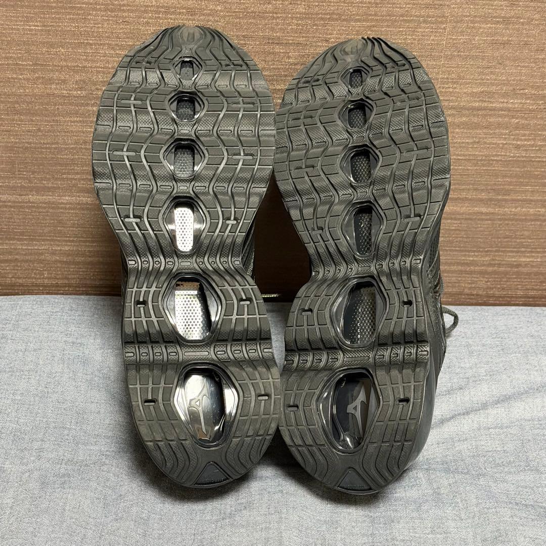 MIZUNO　WAVE PROPHECY LS GTX 29cm