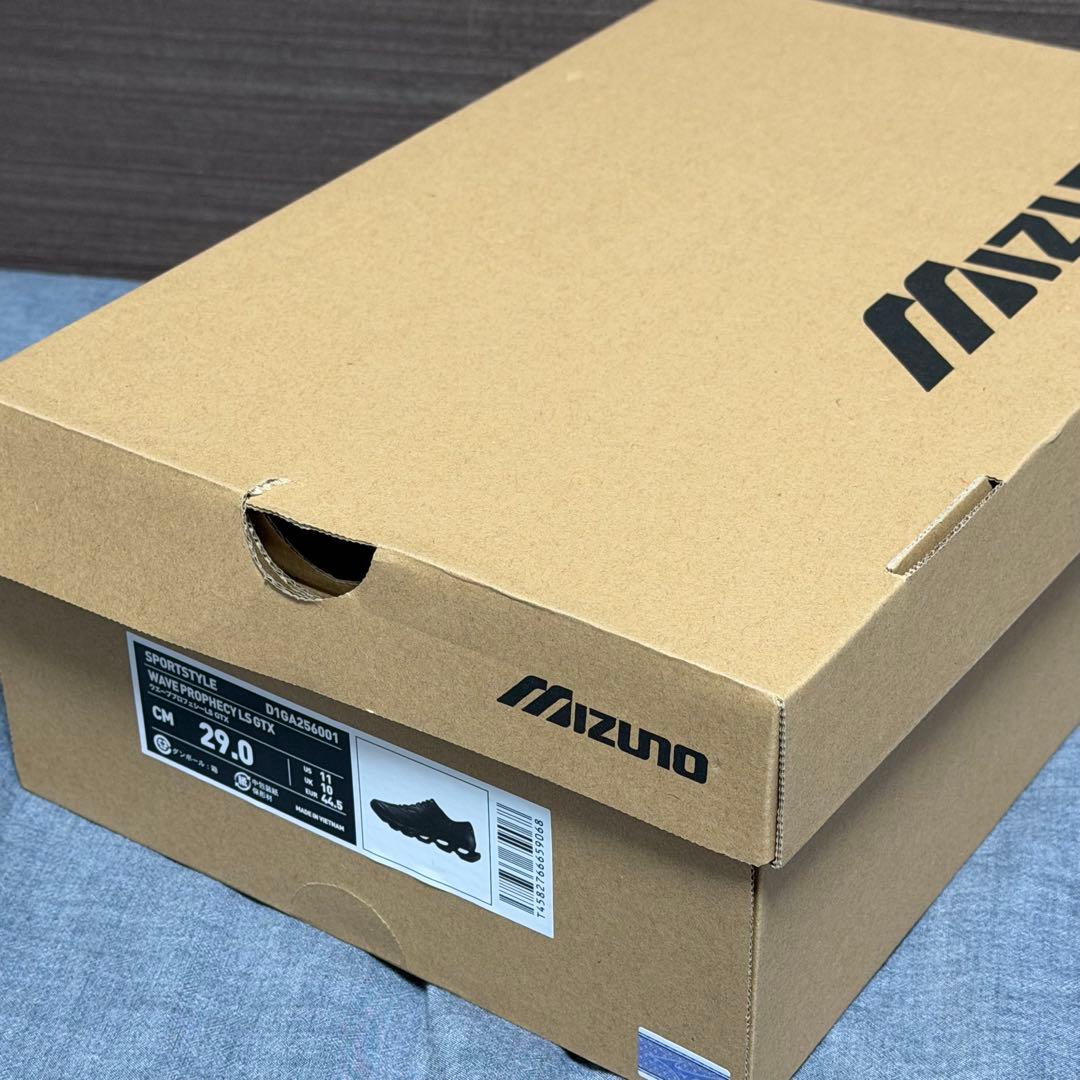 MIZUNO　WAVE PROPHECY LS GTX 29cm