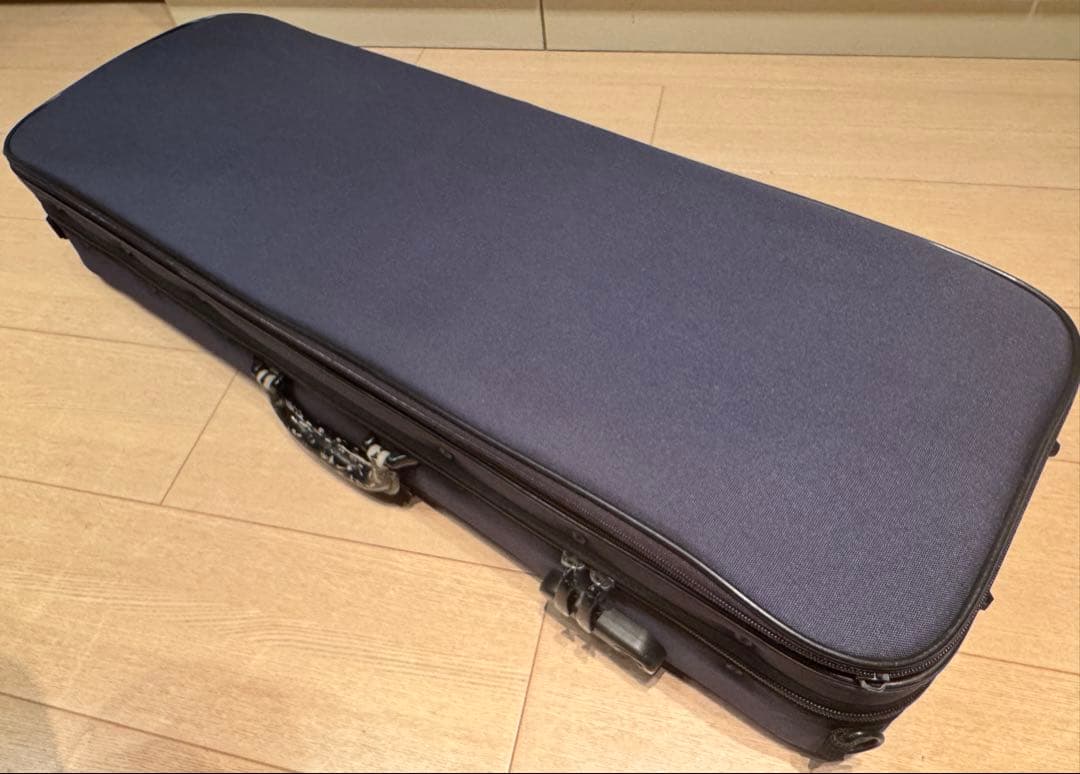 Gliga GEMS 4/4 バイオリンセット