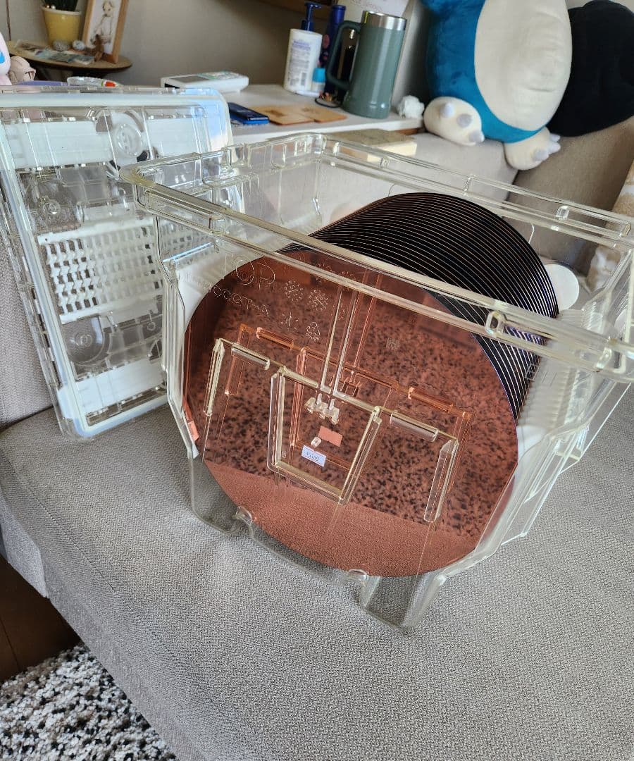 シリコンウェファ - ウェーハ輸送ボックス - ウェーハ付き・良好な状態