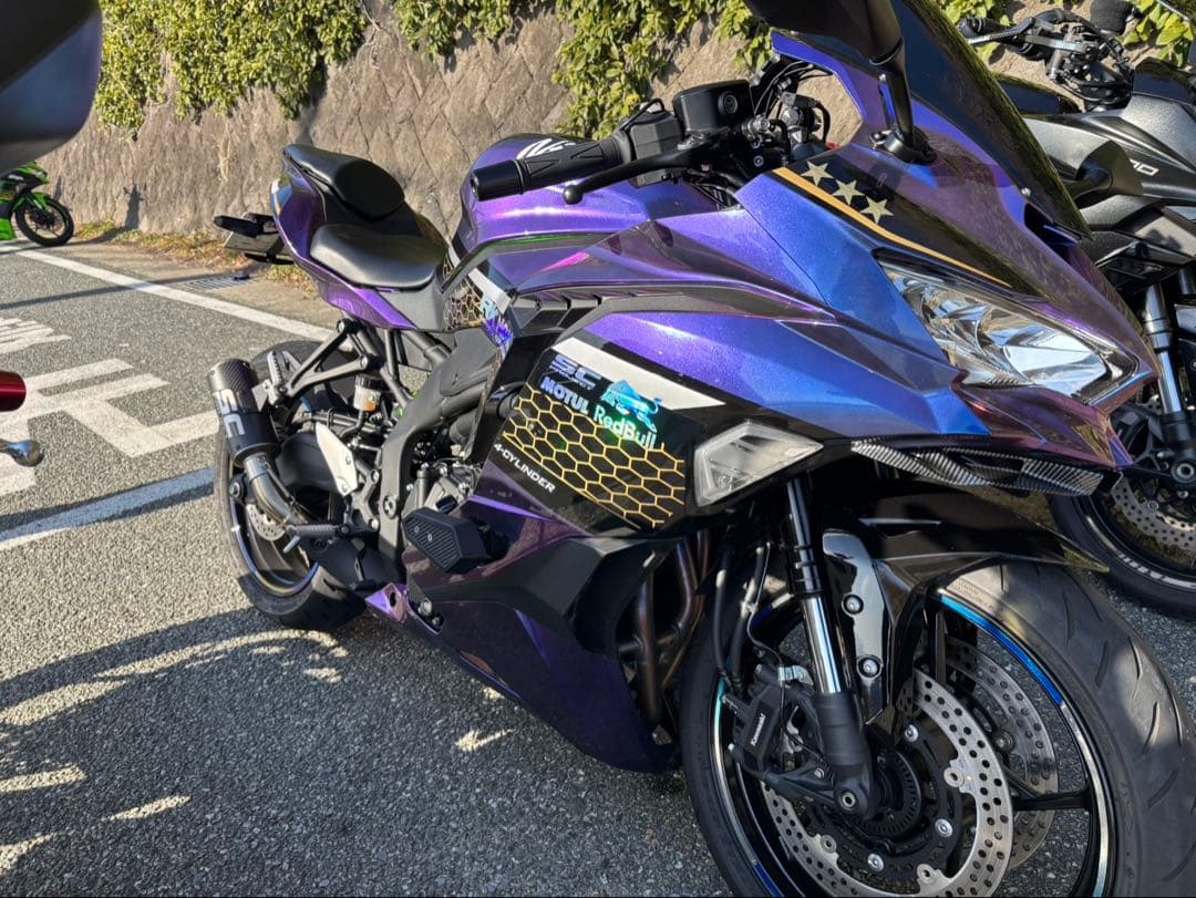 ZX4RR外装 フラストレーションさん専用