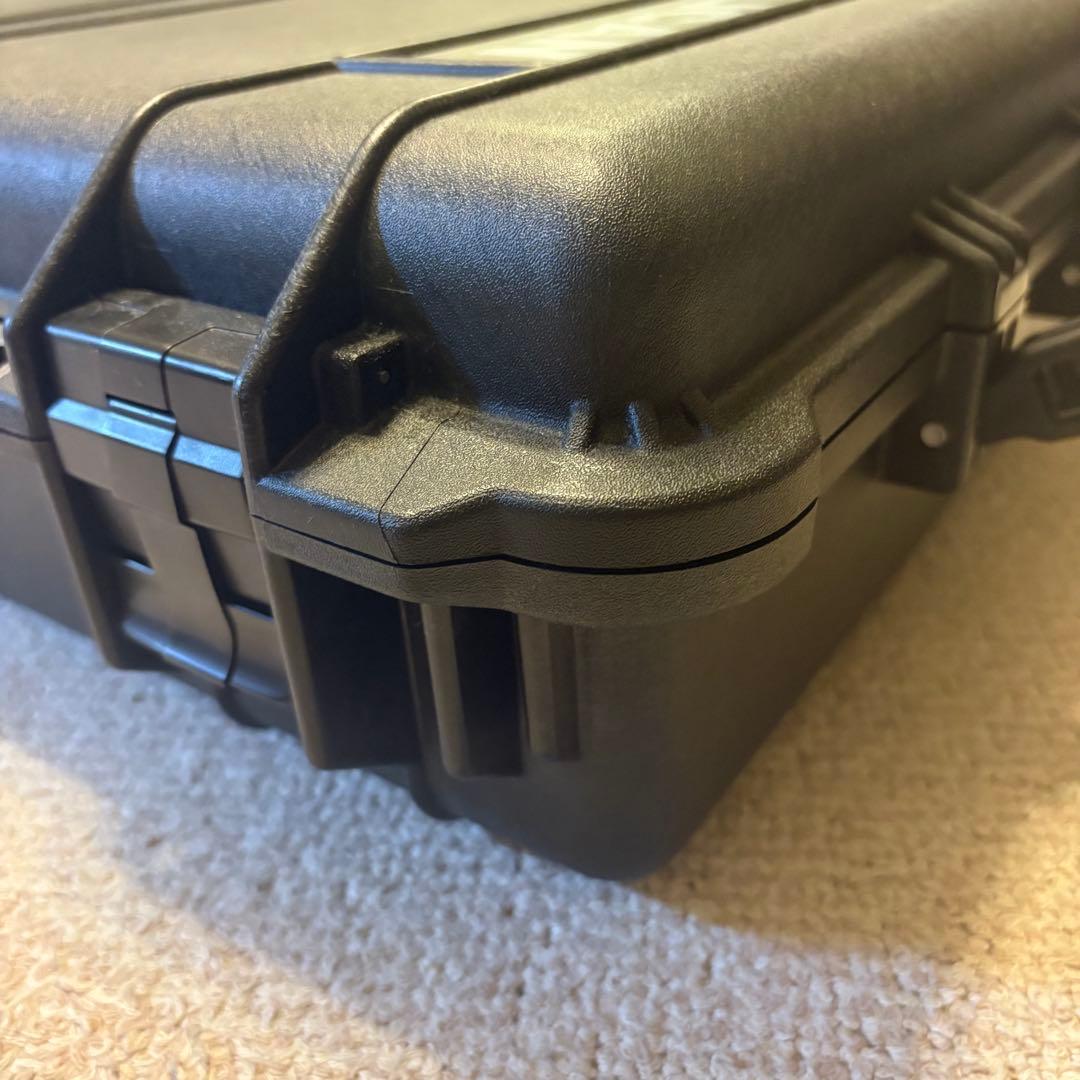 ブルドックのパイオニア