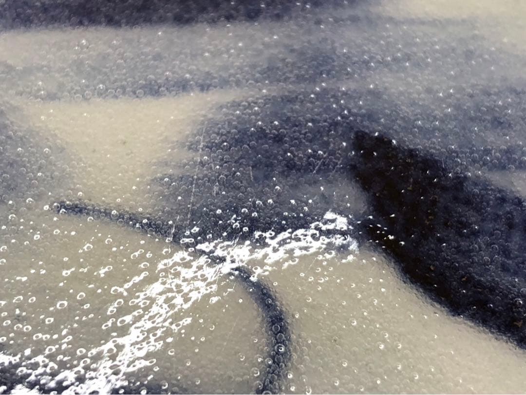 斉山窯　波佐見焼　魚の絵柄 皿 2枚セット