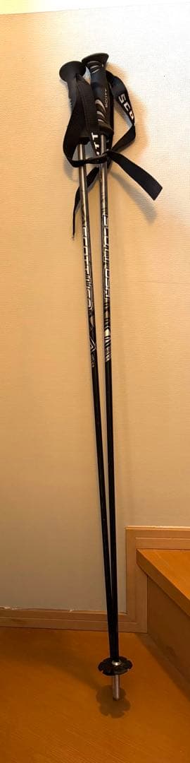 masa29さん専用　サロモン　Powerline　170cm カーボンストック