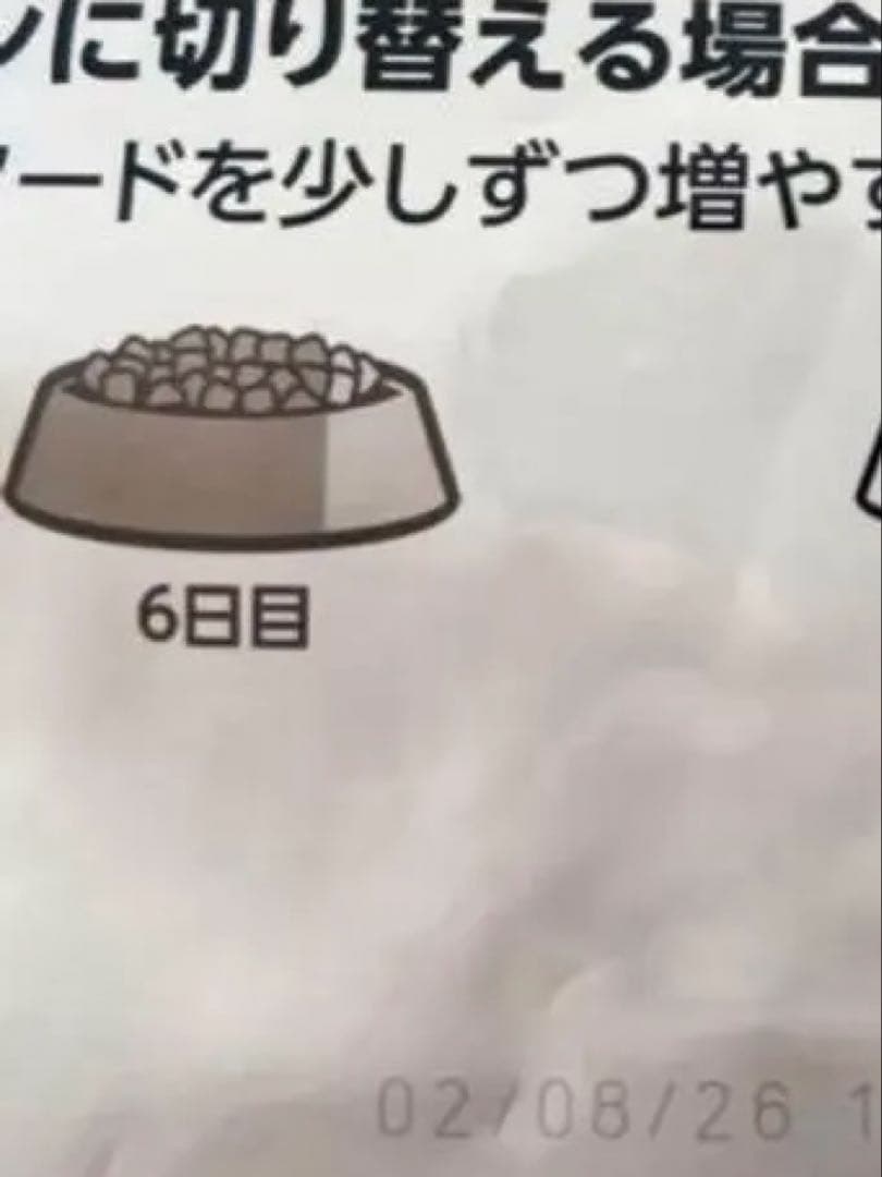  CANIN 柴犬用 ドライフード 8kg×2 袋