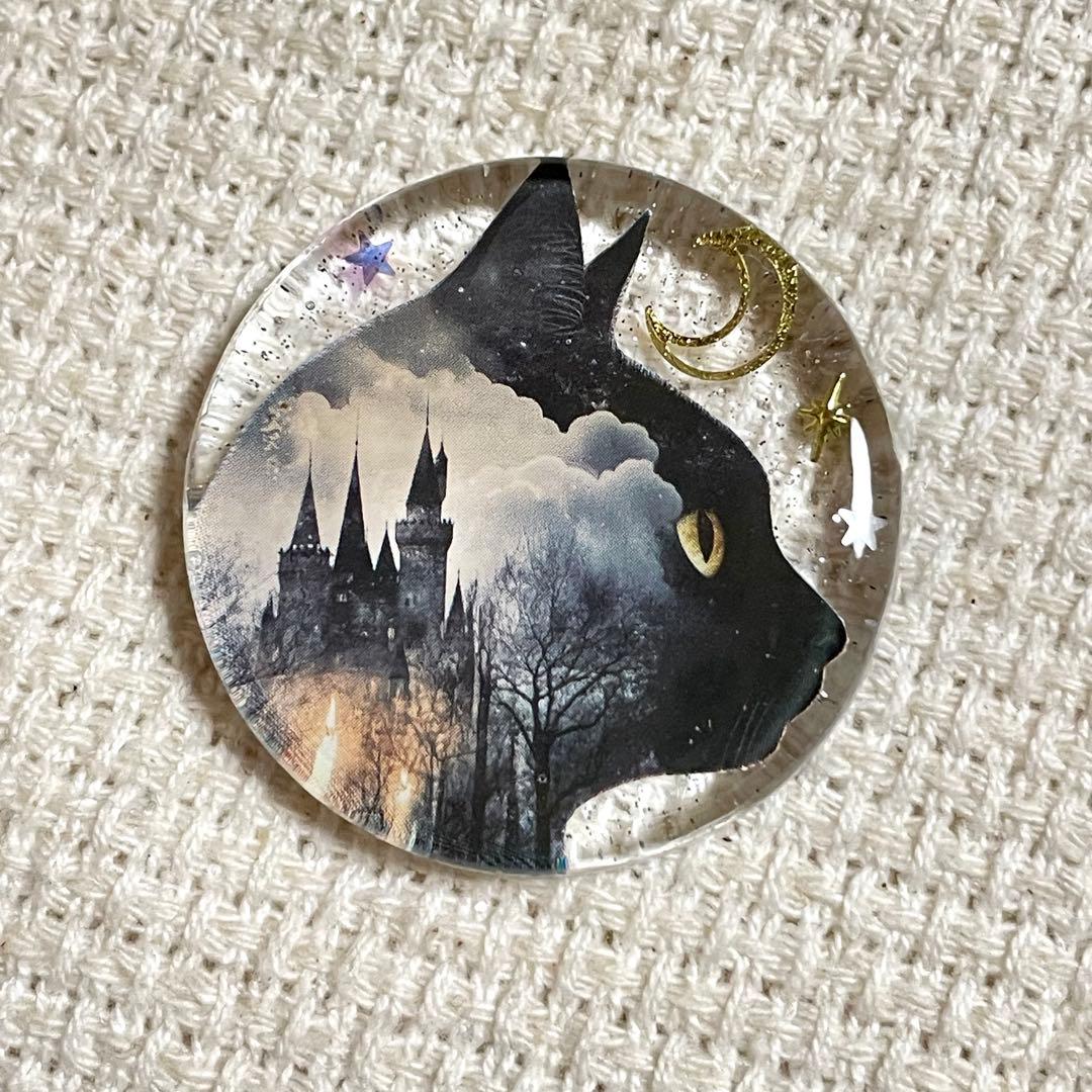 2507. 【大】レジンポニーフック・ヘアゴム・ブローチ