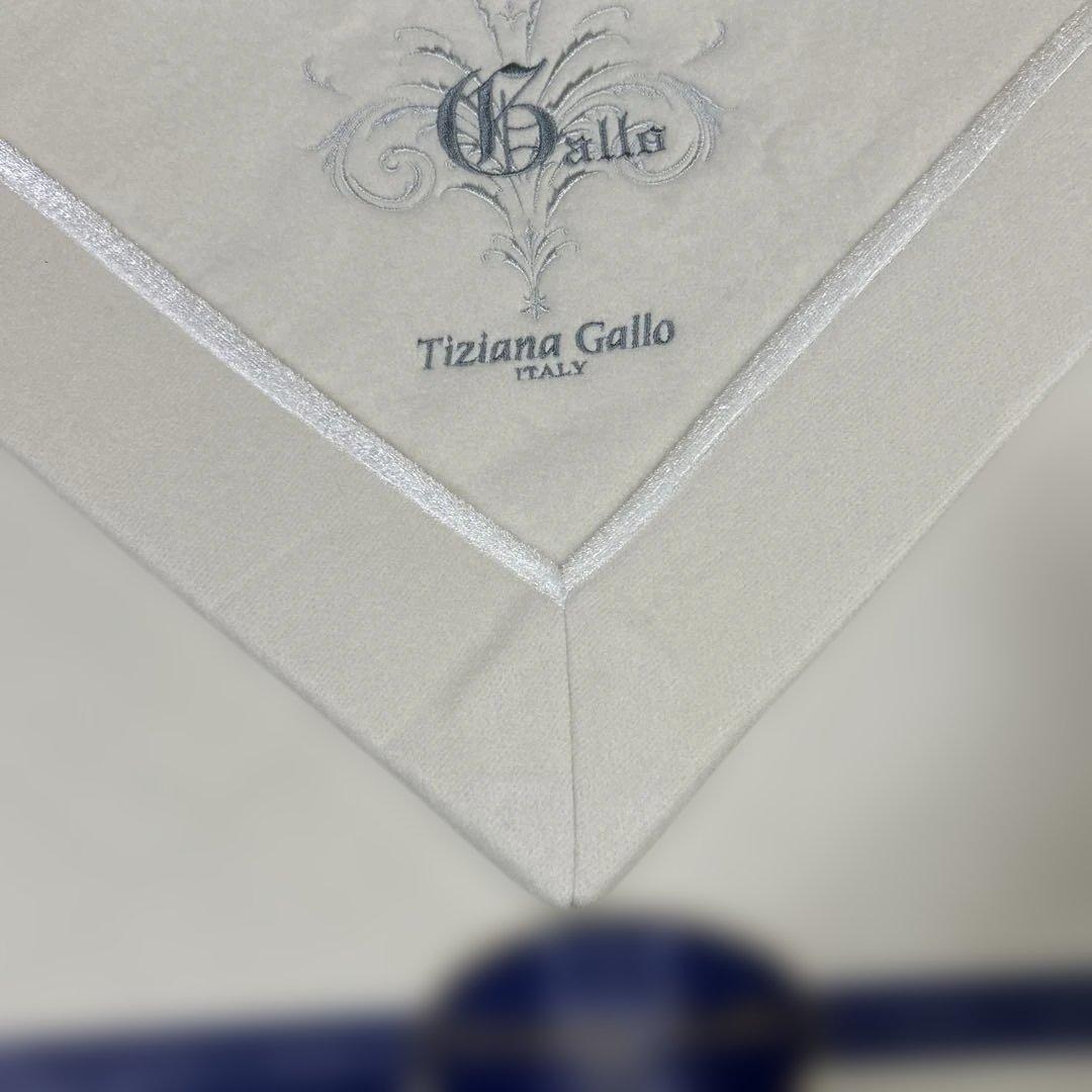 新品　Tiziana gallo 絹毛布　シルク100% 毛布　シングル