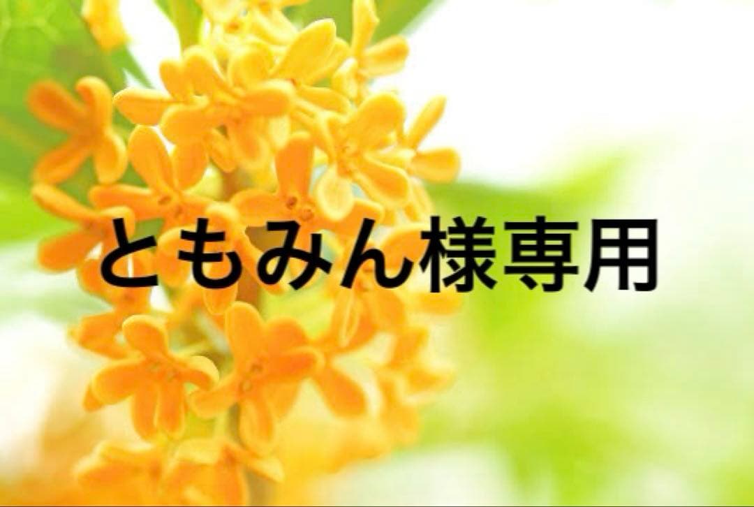 ともみんです　　　ルイヴィトン　キーホルダー