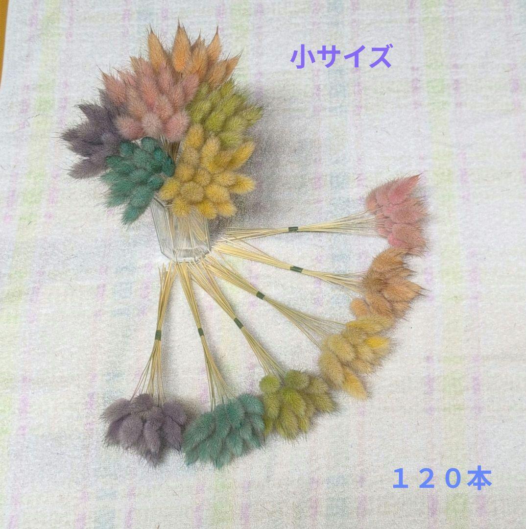 misu　訳あり　しめ縄　稲穂　ラグラス同梱