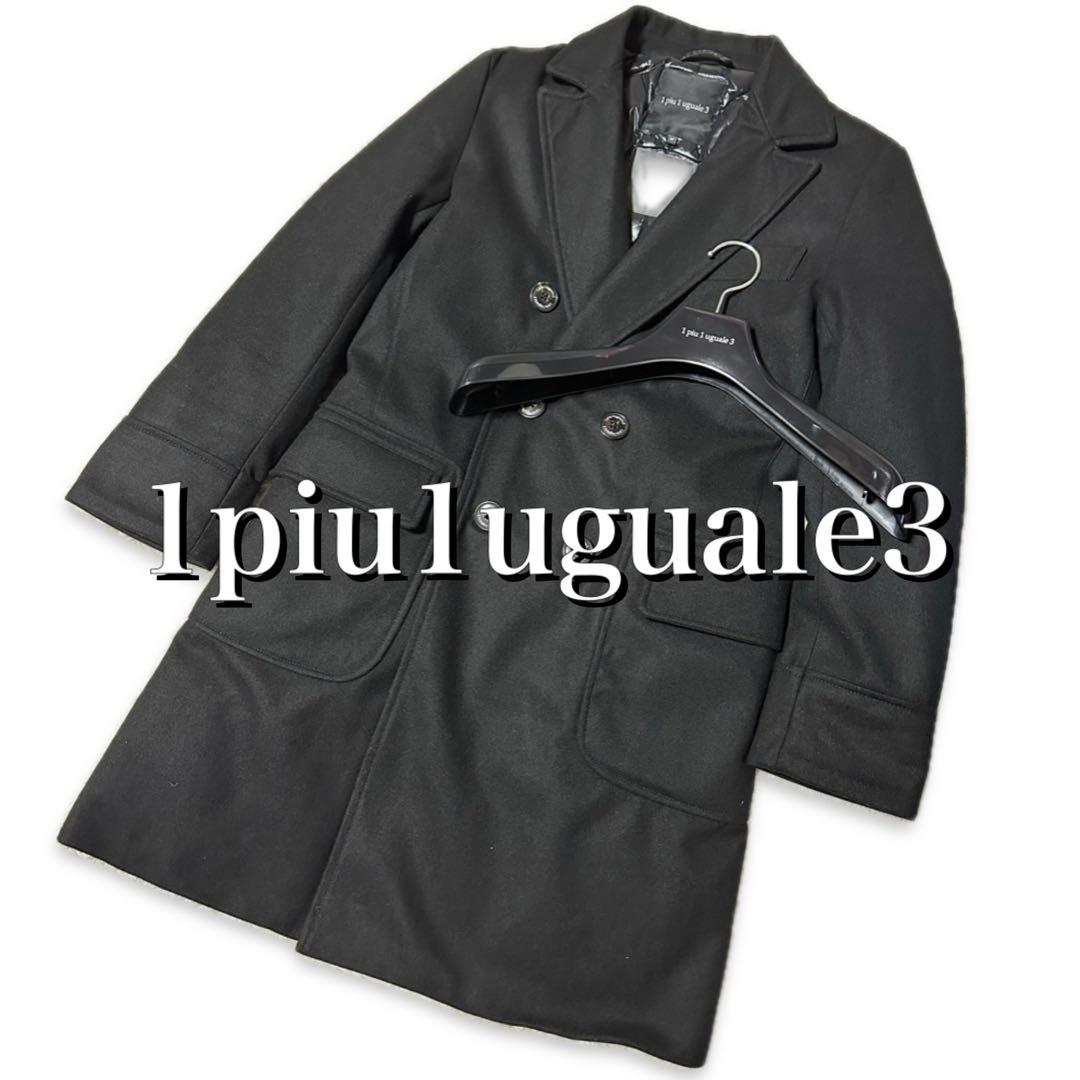 定価20万1PIU1UGUALE3×DUVETICA ロロ・ピアーナダウン Ⅴ