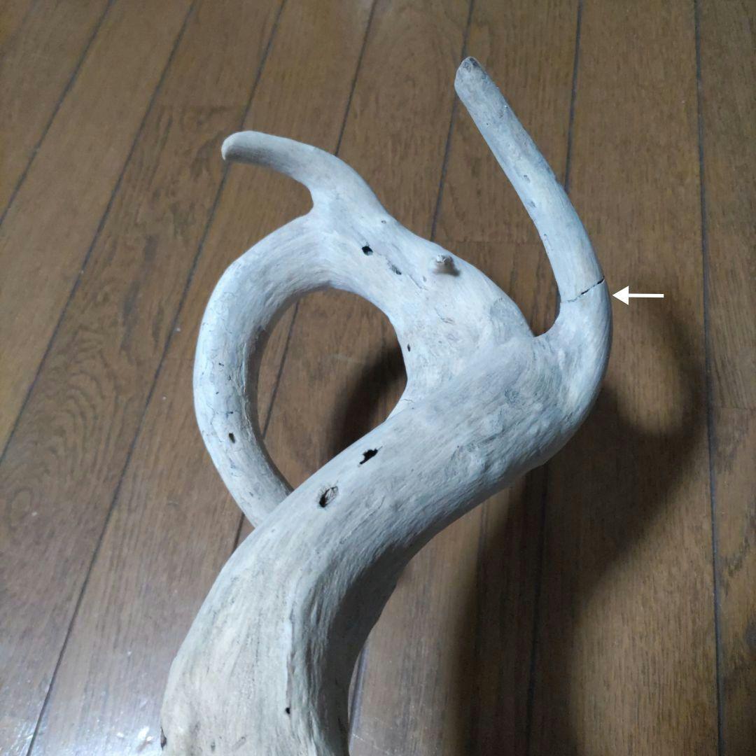 天然自然流木　ビッグな超希少　龍木竜木辰年　直接引き渡し限定　大阪府