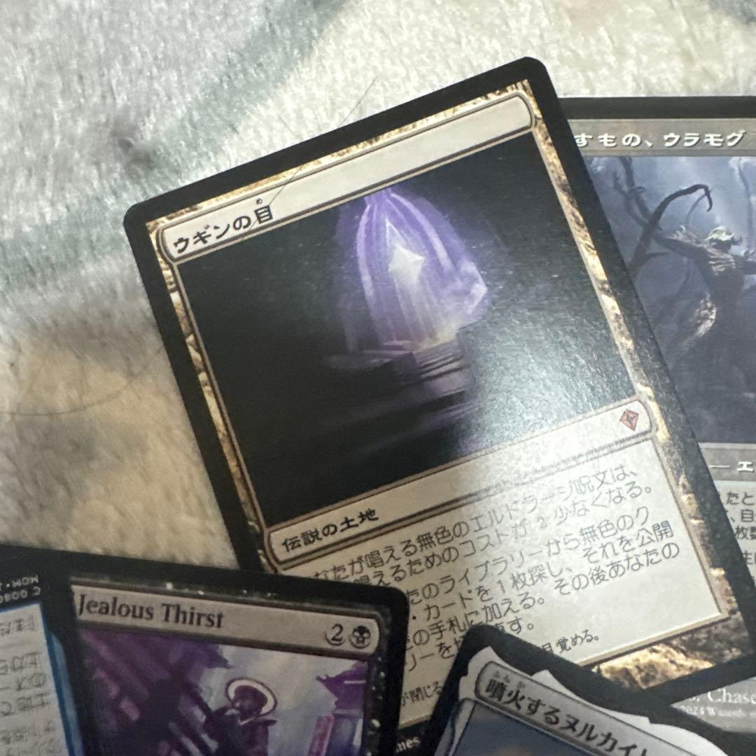 ピ*ト様 マジックギャザリング引退品デッキ