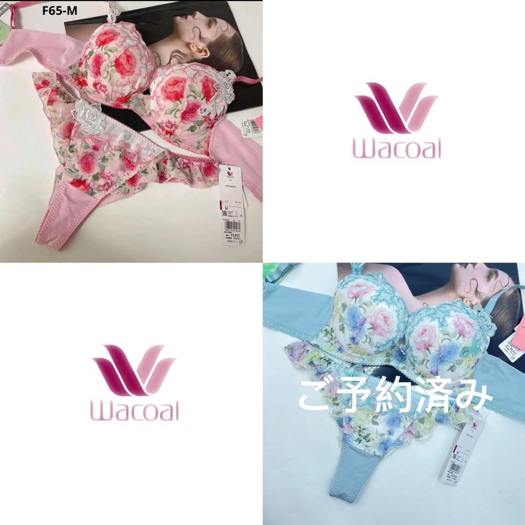 ワコール ルジェ ハッピーFitブラ イギリスの宮殿F65-M