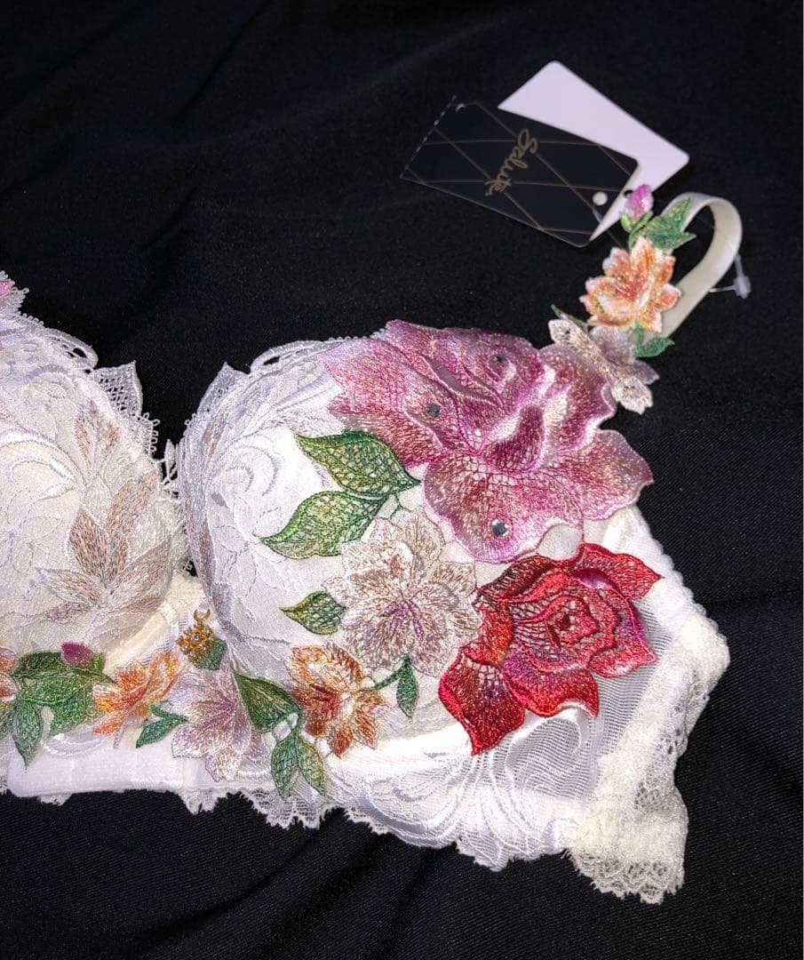 【最安値】Salute サルート09g ブラジャー IV C70 P-up