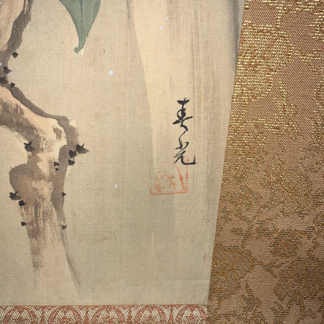 掛け軸　寒椿と雀