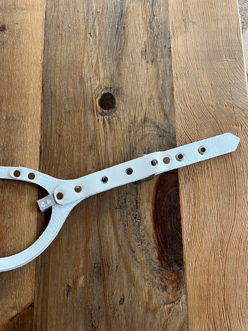 たま　バディベルトムーンウォーク4.5未使用 BUDDY BELTS