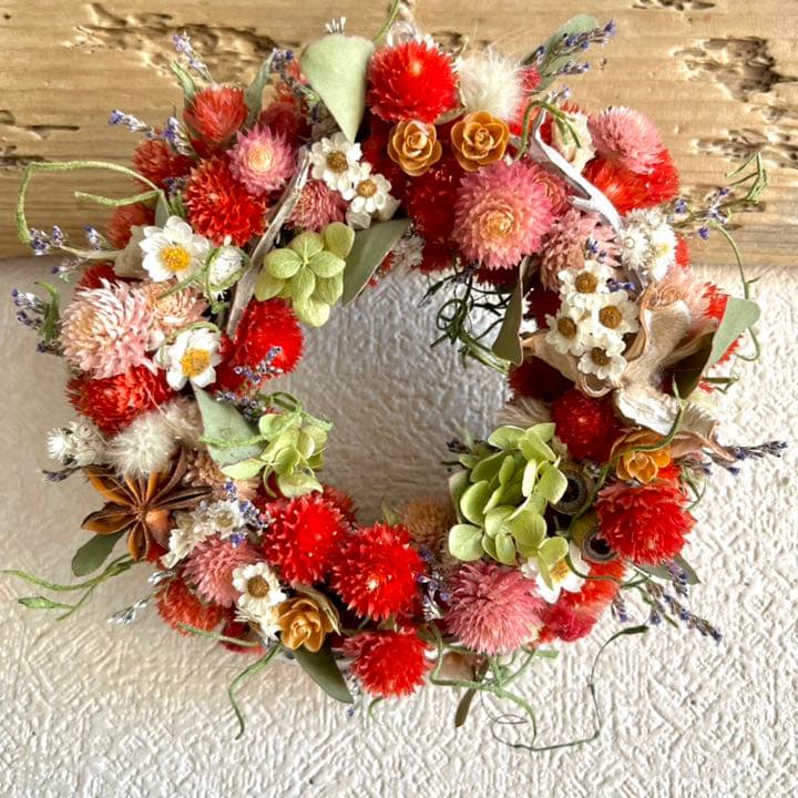 千日紅　いちご畑リース
