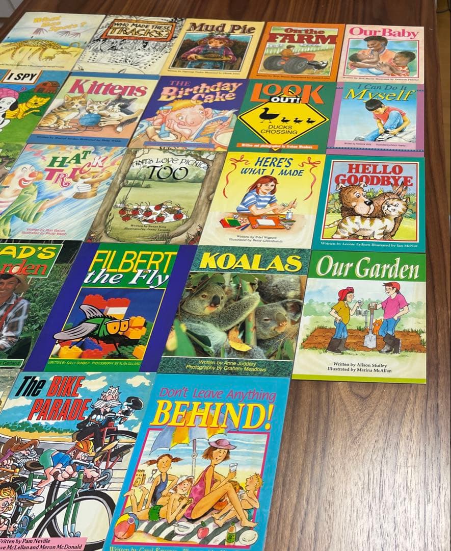 リタラシーリンクス児童英語研究所 A~DセットCD4枚絵本96冊　手引き付き