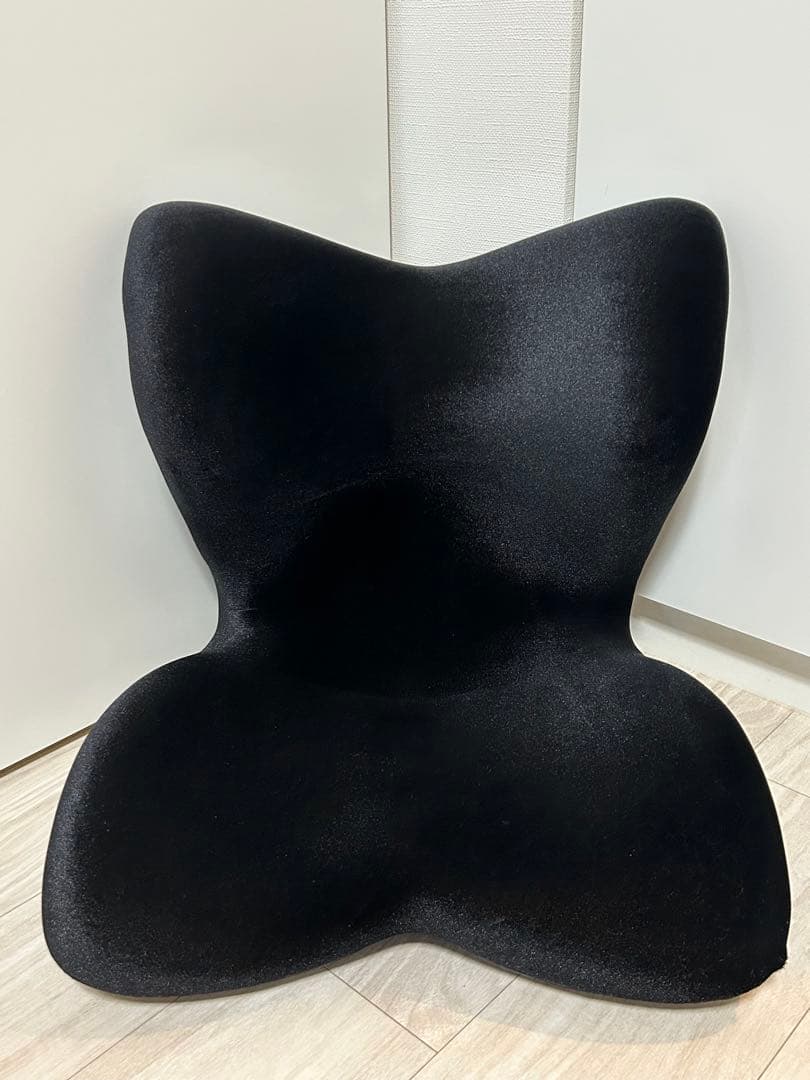 Style PREMIUM DX リッチブラック