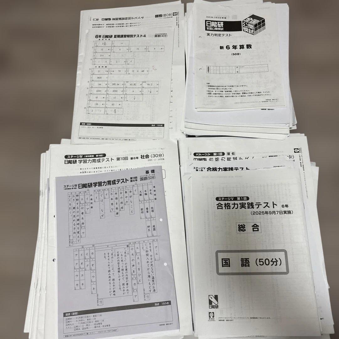 【すみちゃん】日能研6年（2025年度）　公開模試　育成テストなど