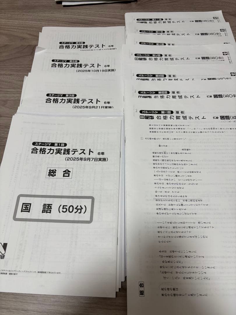 【すみちゃん】日能研6年（2025年度）　公開模試　育成テストなど