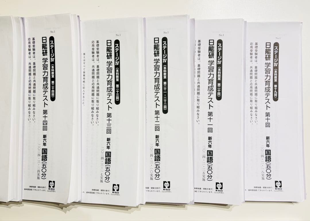 日能研学習力育成テスト6年前期フルセット2024年4教科