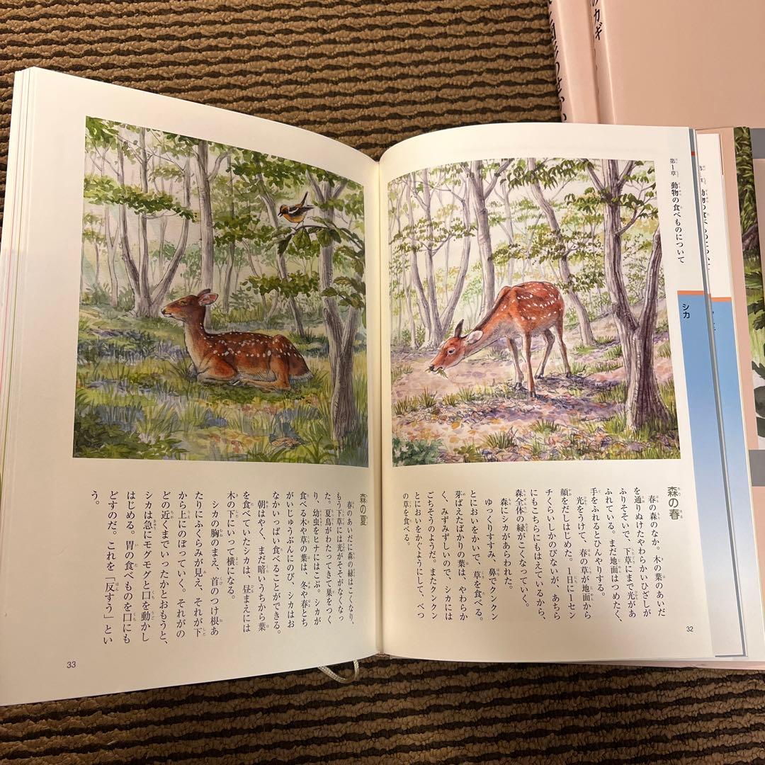 カ*郎様 玉川大学出版部 こども博物誌全12巻 辞典 読書 学校 図書 受験 勉