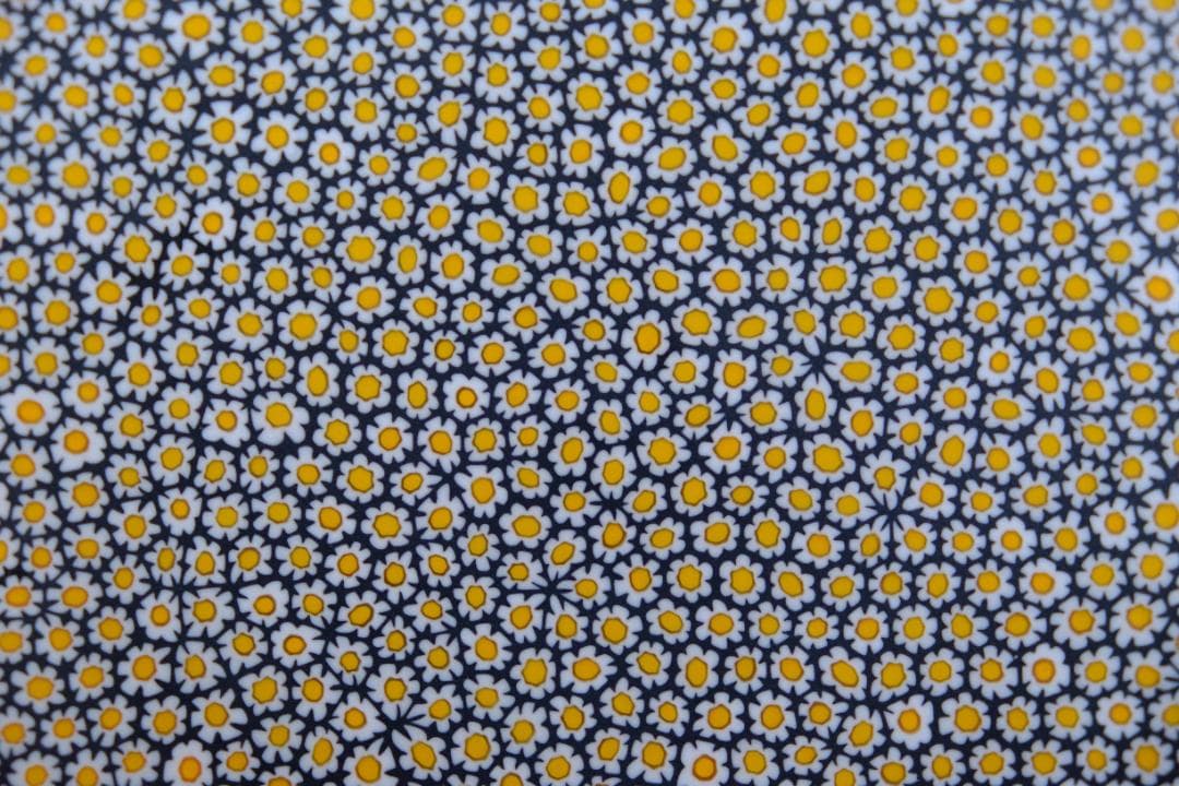 エルコーレ・モレッティ ミルフィオリ プレート 皿 ガラス 江波冨士子 田子美紀