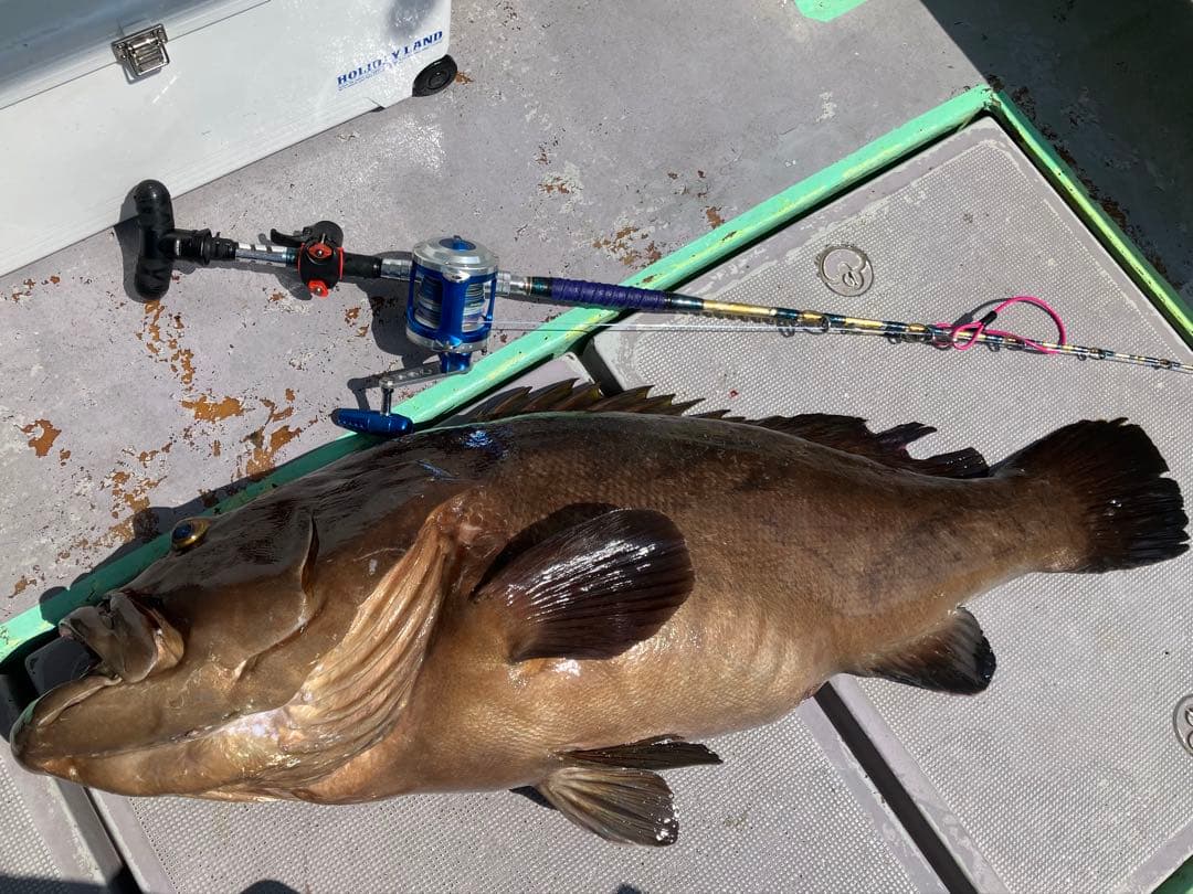 【専用】大物泳がせリーダー80号 5セット