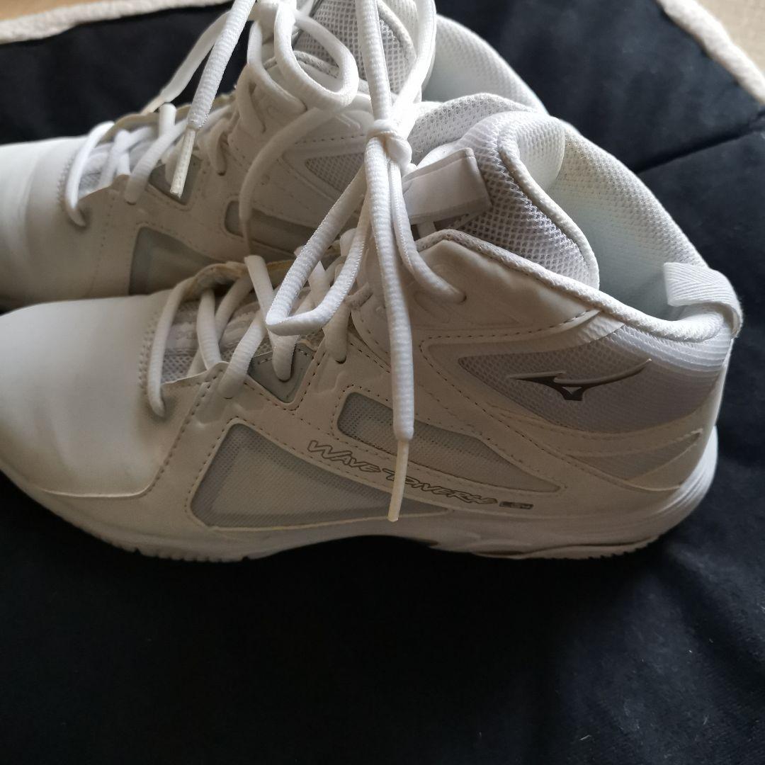 フィトネスシューズ　ミズノ