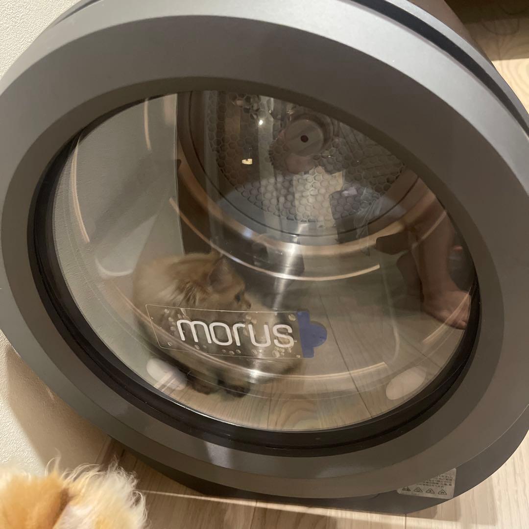 morus 電気式衣類乾燥機
