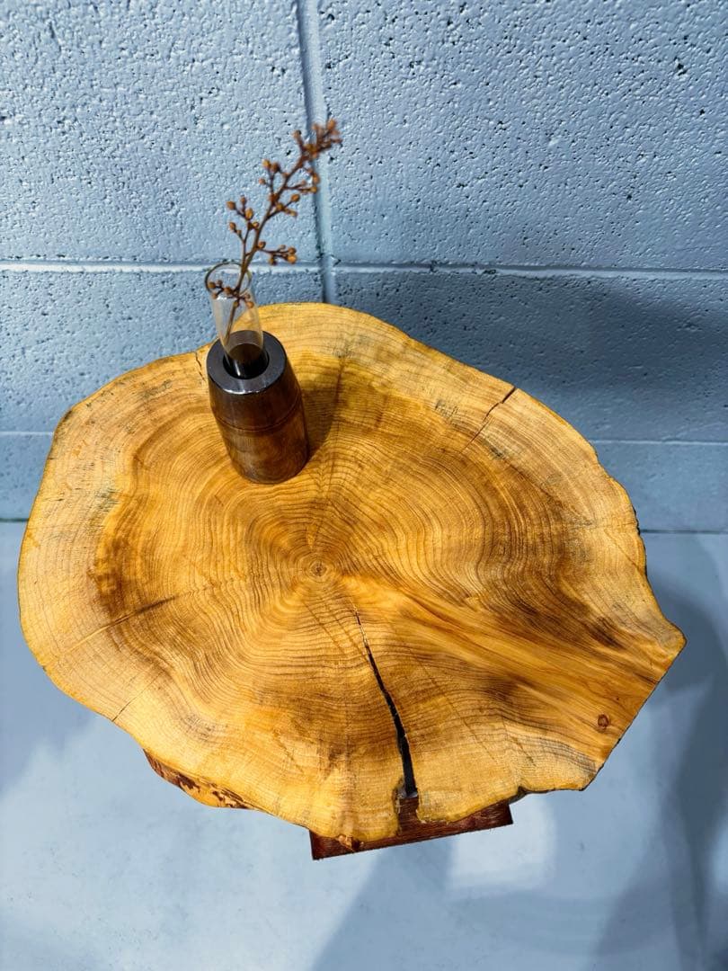 榧輪切りサイドテーブル　ナイトテーブル　コーヒーテーブル　観葉植物起き