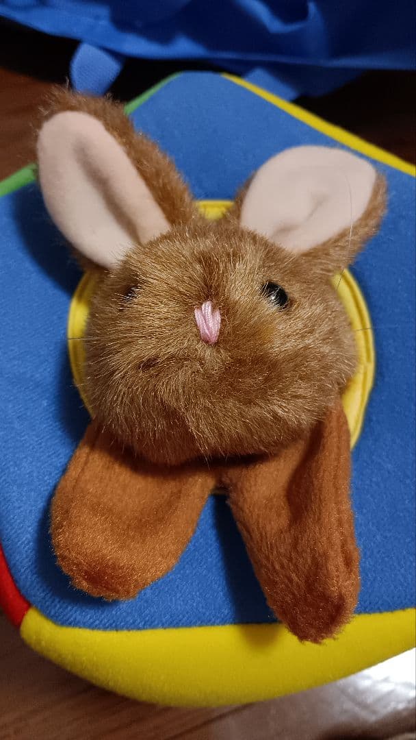 DWE ディズニー英語システム シングアロング&プレイアロングセット