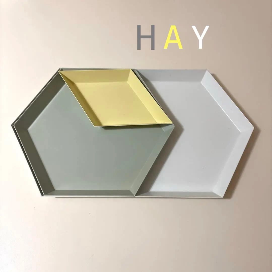 31日終了 HAY カレイド トレイセット