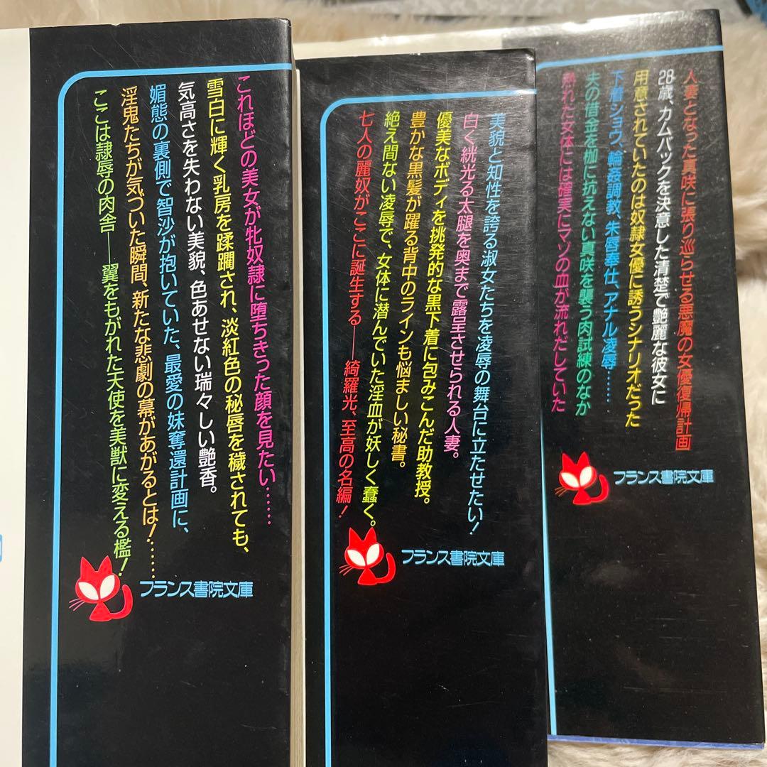白*角様 最終値下げ　綺羅光 フランス書院文庫 文庫本 入手困難２０冊セット