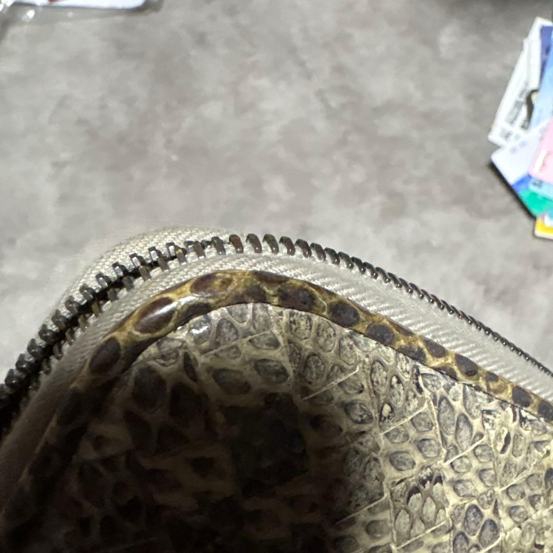 bottegavenetaパイソン