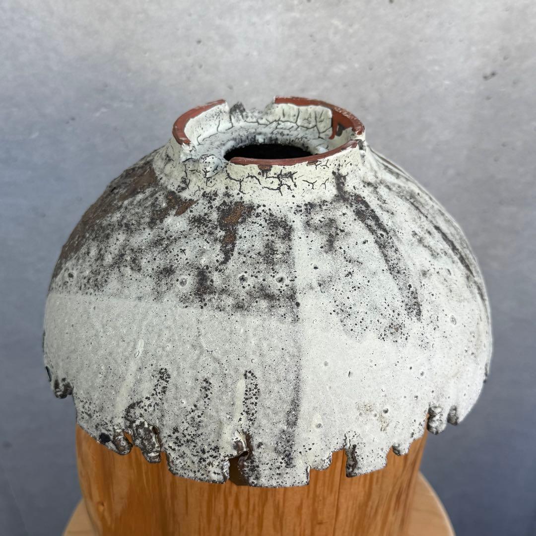 たけろうポット 安西岳郎 芽の巣山 大鉢