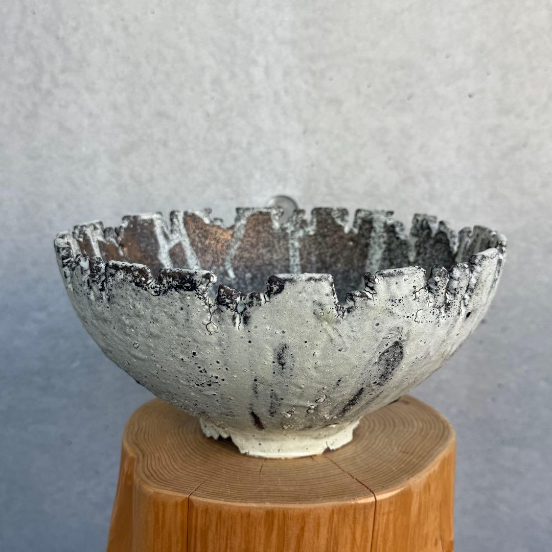 たけろうポット 安西岳郎 芽の巣山 大鉢