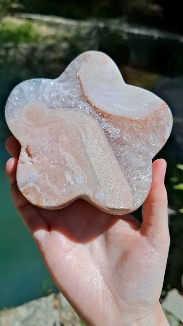 ピンクアメジストフラワー【開花】