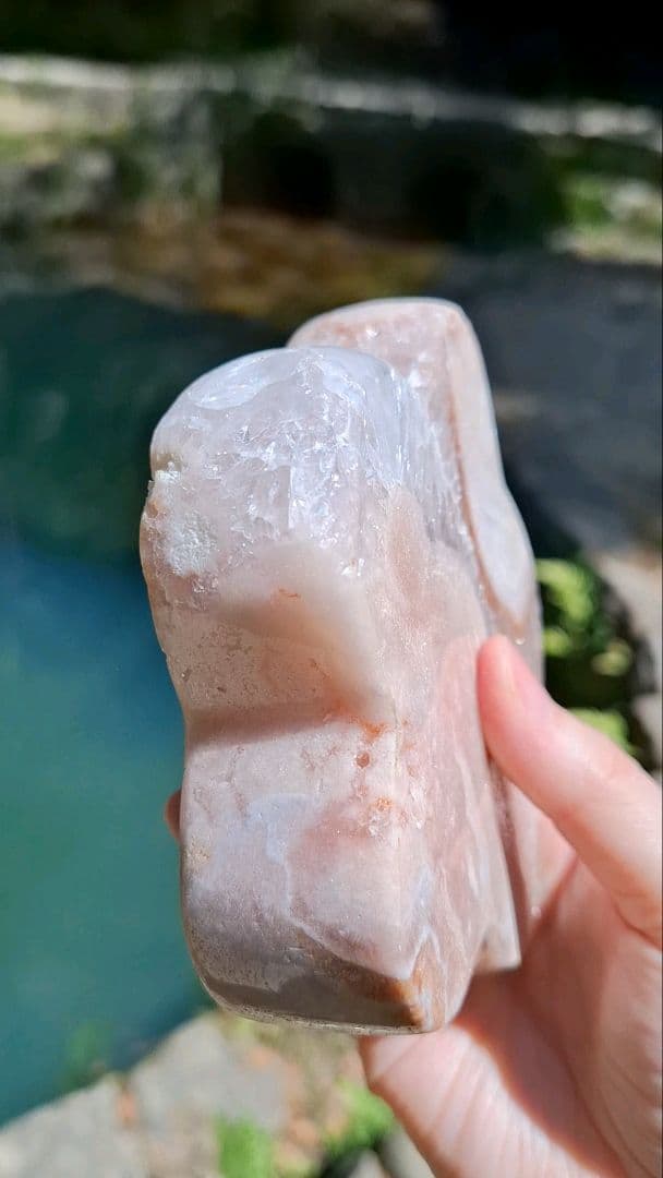 ピンクアメジストフラワー【開花】