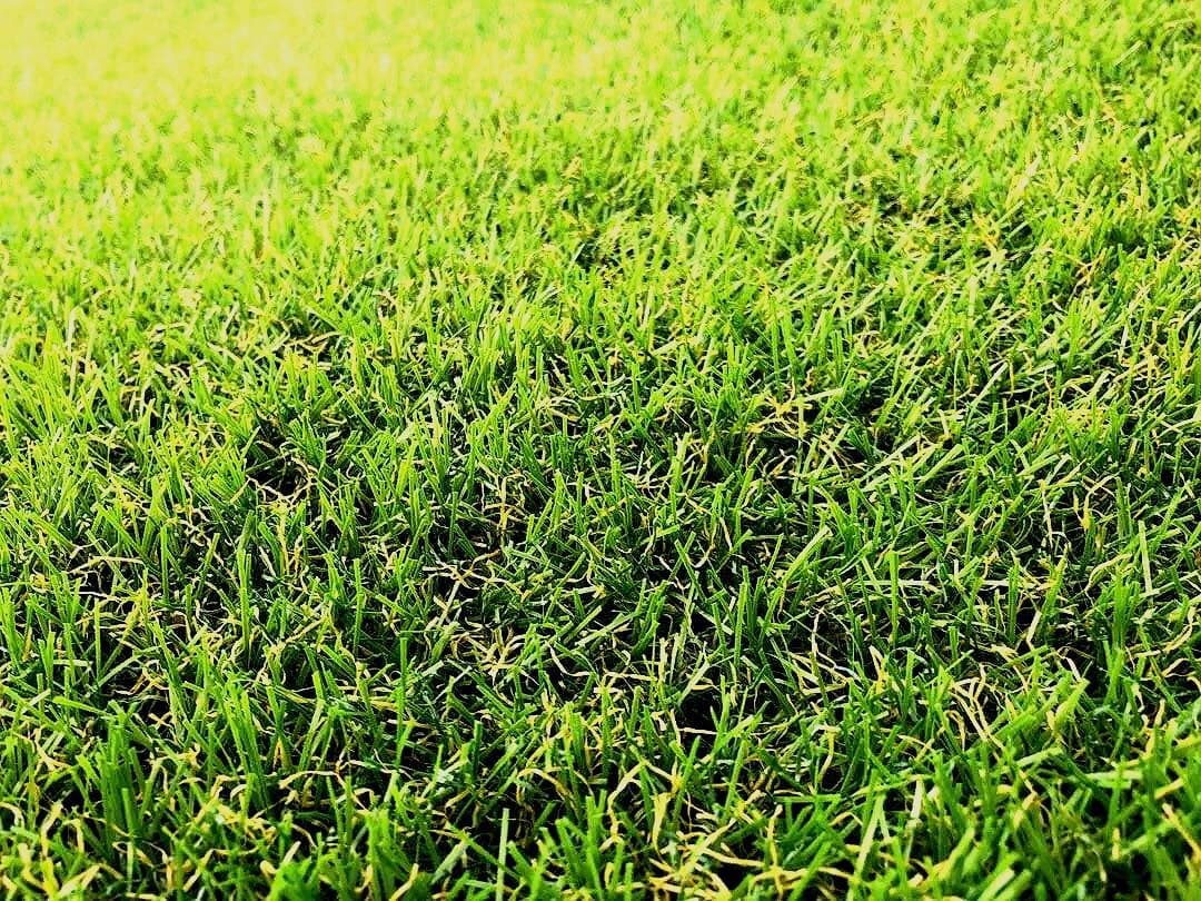 防草 人工芝 1m x 20m 約30mm