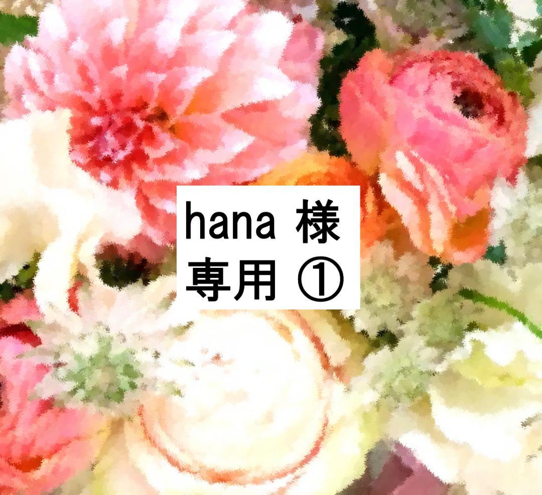 hana ① 2021年最新版フルセット 未開封ディスク48枚 DWE