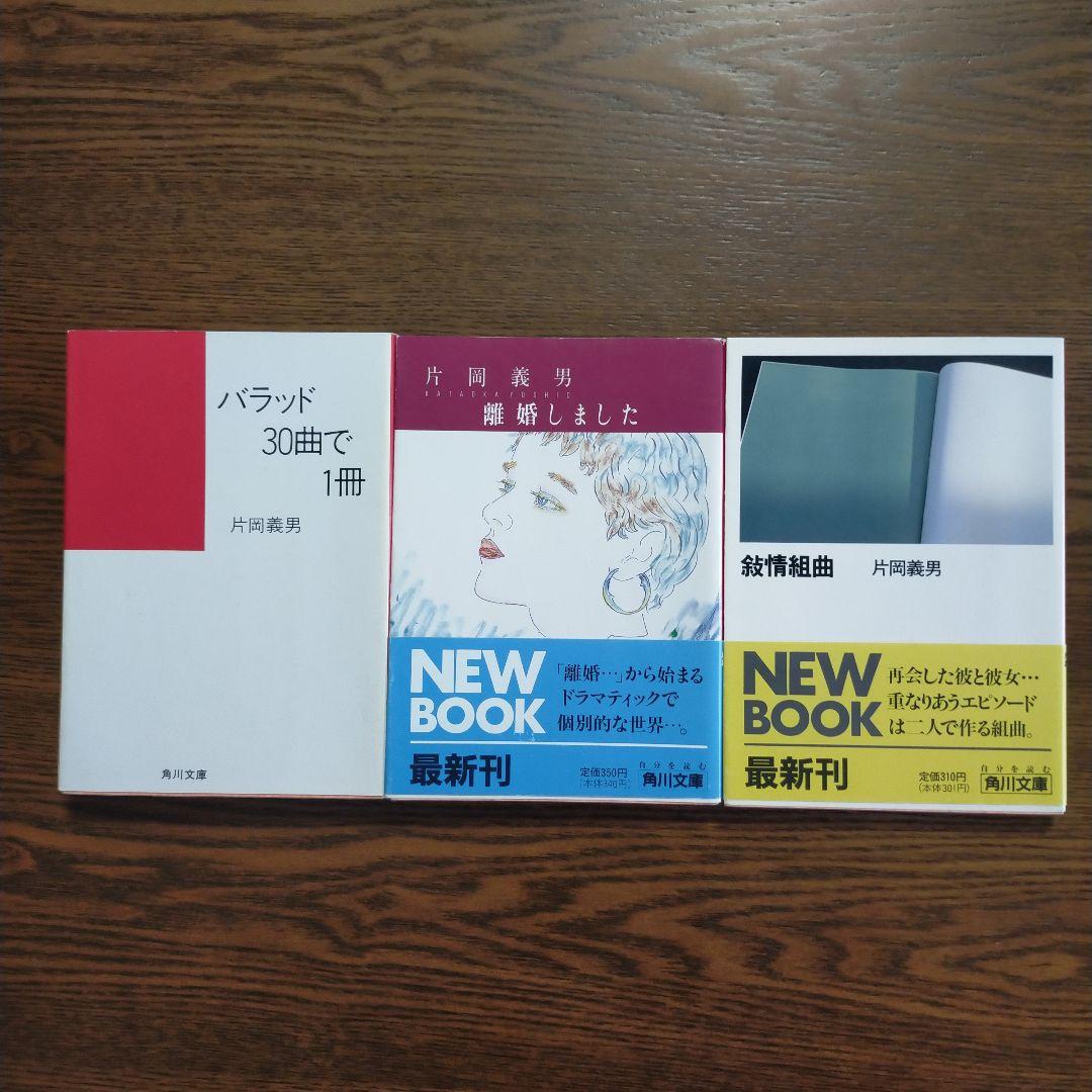 片岡義男　文庫17冊セット